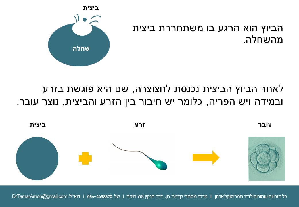 when-to-have-s-Slide2