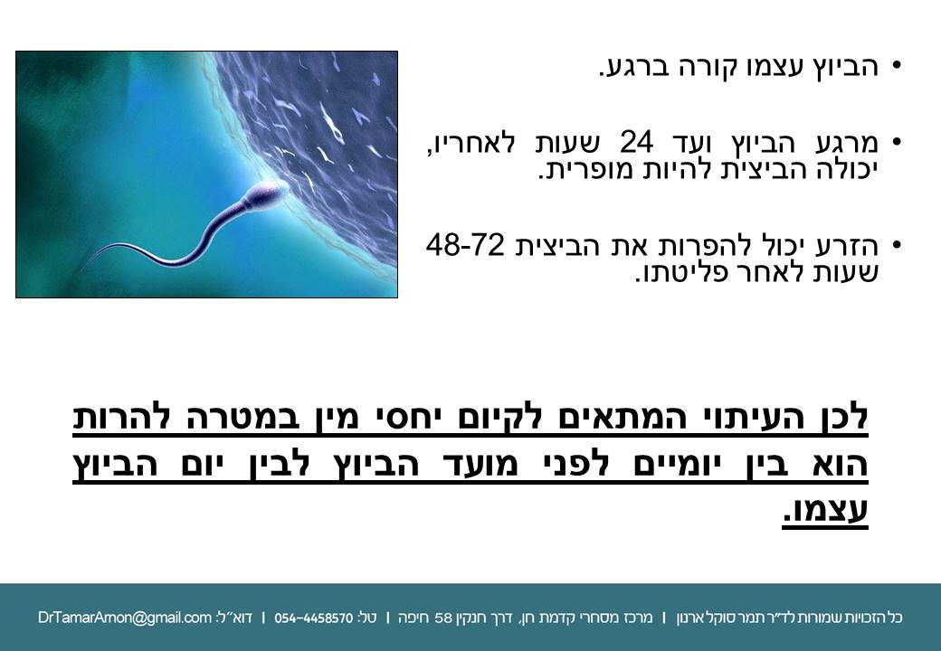 when-to-have-s-Slide3