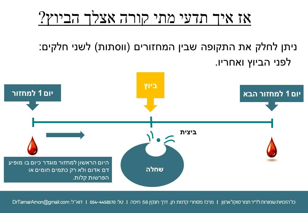 when-to-have-s-Slide4