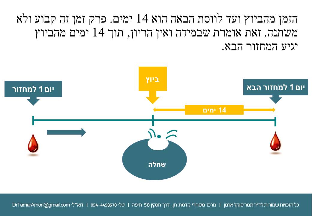 when-to-have-s-Slide5
