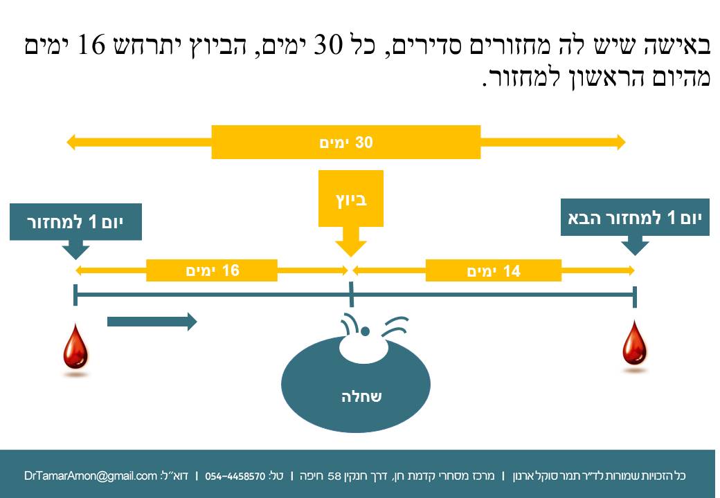 when-to-have-s-Slide8